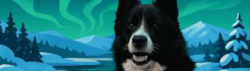 voyage Laponie chien